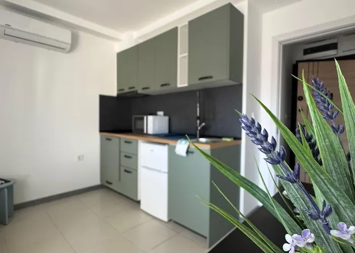 лилия 2 * Primorsko